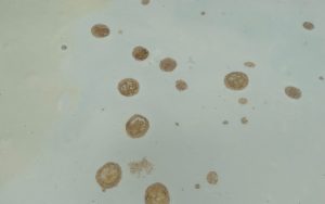 Chantier à Savièse (2023)